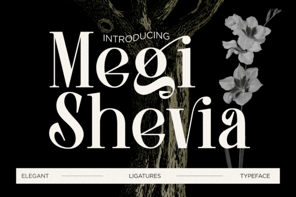 Megi Shevia: A Modern Serif Font for Editorial Clarity and Grace