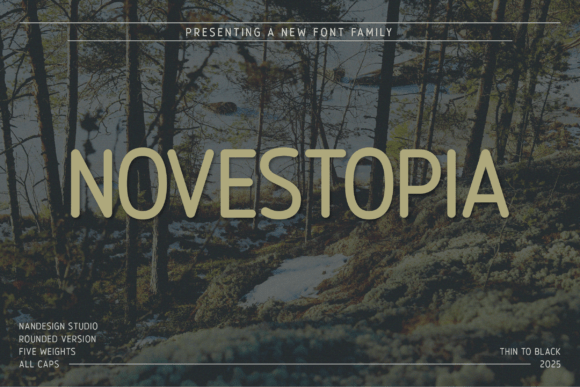 Novestopia Rounded: A Warm, Modern Sans Serif Font for Small Business Branding